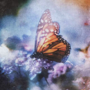 全家乱伦护士小说
