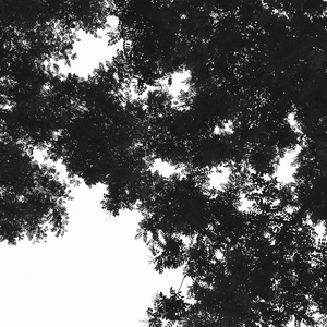 全家乱伦护士小说
